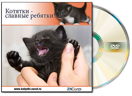 Котятки DVD
